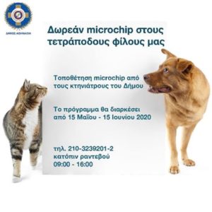 Αθήνα: Δωρεάν τοποθέτηση microtsip από τον Δήμο Αθηναίων στους τετράποδους  φίλους μας