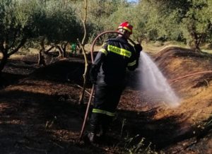 Άγιος Στέφανος: Στην οδό Ασκληπιού στην Δ.Κ Κρυονέριου Αττικής εκδηλώθηκε πυρκαγιά σε αγροτική έκταση