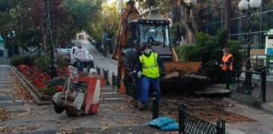 Κηφισιά: Επισκευές σε εξογκώματα ριζών δένδρων επί του οδοστρώματος