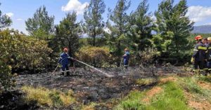 Διόνυσος: Τρεις πυρκαγιές στη Δημοτική ενότητα Ανοίξεως και στη Δημοτική ενότητα Κρυονερίου σε δασικές εκτάσεις