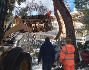 Πεντέλη: Συνεχίζεται με εντατικούς ρυθμούς και διπλές βάρδιες η αποκομιδή των κλαδιών