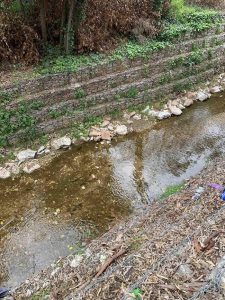 Περιφέρεια Αττικής ΠΕΒΤΑ:  Συνεχίζονται οι καθαρισμοί των ρεμάτων από τα συνεργεία της Περιφέρειας