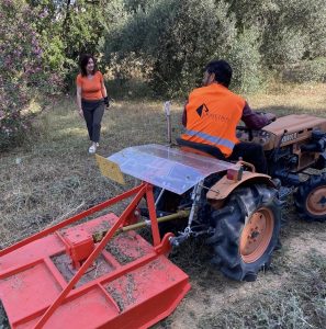 Μαρούσι: Καθαρισμός του δάσους Μιμικοπουλου 35 στρεμμάτων