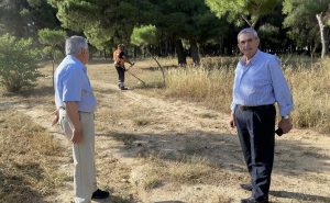 Μαρούσι: Καθαρισμός του δάσους Μιμικοπουλου 35 στρεμμάτων