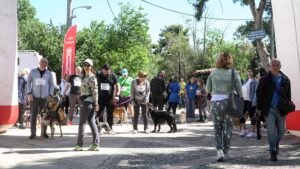 Χαλάνδρι : Εξαιρετική ήταν η δράση «Κυνηγώντας την ουρά τους» στη Ρεματιά την Κυριακή 21 Απριλίου