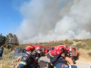 Διόνυσος: Μεγάλος αγώνας  από την πυροσβεστική να περιοριστεί το μέτωπο μεταξύ Σταμάτας και Ροδόπολης