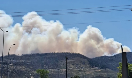 Πάρνηθα: Πυρκαγιά στο δάσος Κατσιμίδι - Κατευθύνεται προς Τατόι