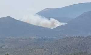 Πάρνηθα: Πυρκαγιά στο δάσος Κατσιμίδι - Κατευθύνεται προς Τατόι