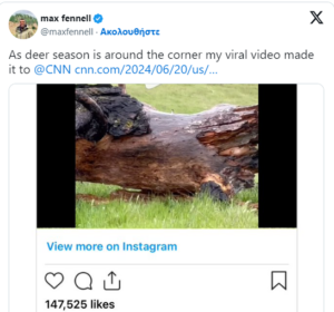 Καλιφόρνια : Ένας οικόσιτος γάιδαρος που δραπέτευσε από τους ιδιοκτήτες του πριν από πέντε χρόνια βρέθηκε να ζει παρέα με ένα κοπάδι ταράνδων