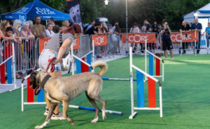 «Woof Festival» Διήμερο Φεστιβάλ Φιλοζωίας στο Πεδίον του Άρεως