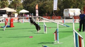 «Woof Festival» Διήμερο Φεστιβάλ Φιλοζωίας στο Πεδίον του Άρεως