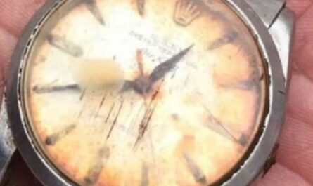 Μετά από 50 χρόνια ένας αγρότης στη Μεγάλη Βρετανία βρήκε ξανά το Rolex ρολόι του - Του είχε φάει αγελάδα