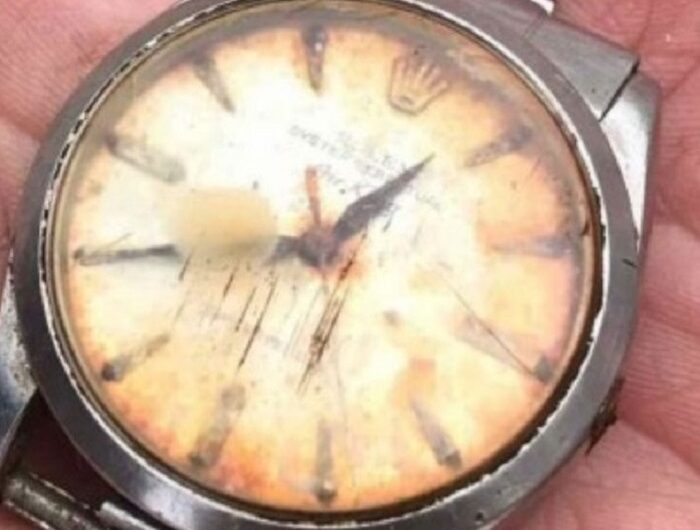 Μετά από 50 χρόνια ένας αγρότης στη Μεγάλη Βρετανία βρήκε ξανά το Rolex ρολόι του – Του είχε φάει αγελάδα