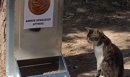 Ηράκλειο Αττικής:  Ταΐστρες και ποτίστρες για τις αδέσποτες γάτες έχει τοποθετήσει σε 24 σημεία της πόλης