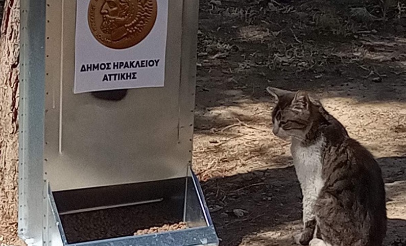 Ηράκλειο Αττικής:  Ταΐστρες και ποτίστρες για τις αδέσποτες γάτες έχει τοποθετήσει σε 24 σημεία της πόλης