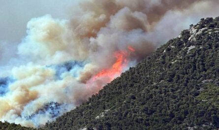 Πάρνηθα: 20 χρόνια η Πάρνηθα μαστίζεται από καταστροφικές φωτιές