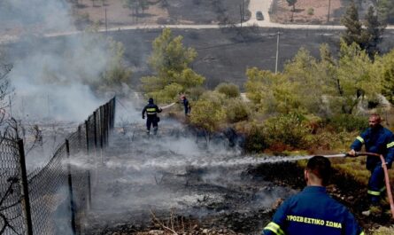 Πεντέλη: Λήψη εκτάκτων μέτρων οικονομικής στήριξης των πληγέντων στη 17η συνεδρίαση ΔΣ Δήμου