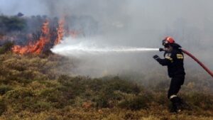 Χαλανδρίου: Τι δήλωσε ο δήμαρχος στο Δ.Σ. για τη καταστροφική πυρκαγιά της 11ης Αυγούστου