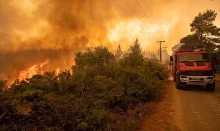 Χαλανδρίου: Τι δήλωσε ο δήμαρχος στο Δ.Σ. για τη καταστροφική πυρκαγιά της 11ης Αυγούστου