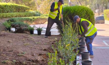 Λυκόβρυση Πεύκη: Συνεχίζονται οι δενδροφυτεύσεις στον Δήμο