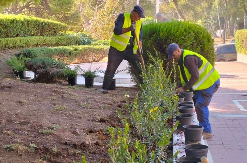 Λυκόβρυση Πεύκη: Συνεχίζονται οι δενδροφυτεύσεις στον Δήμο