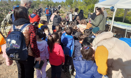 Κηφισιά: Μαθητές από 6 σχολεία του Δήμου συμμετείχαν σε εθελοντική δενδροφύτευση στο Πεντελικό