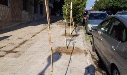 Νέα Ιωνία:  Δημιουργούμε νέους πνεύμονες πρασίνου για την πόλη