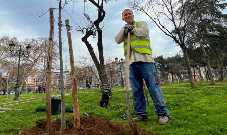 Ηράκλειο Αττικής : Εκατοντάδες δέντρα φυτεύει το επόμενο διάστημα ο Δήμος