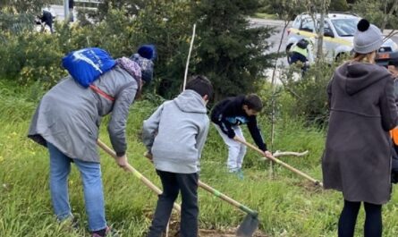 Παπάγου Χολαργός:  Δεντροφύτευση στον Δήμο - Μαζί για μια ακόμη πιο πράσινη πόλη