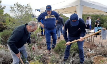 Κηφισιά: «5η Εθελοντική Δεντροφύτευση» στον Κοκκιναρά