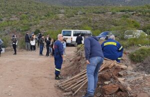 Κηφισιά: «5η Εθελοντική Δεντροφύτευση» στον Κοκκιναρά