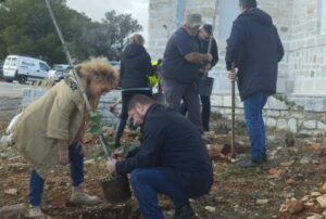 Πεντέλη: Έναρξη της αποκατάστασης των καμένων δασικών εκτάσεων στον Λόφο του Αστεροσκοπείου με την πρώτη συμβολική αναδάσωση