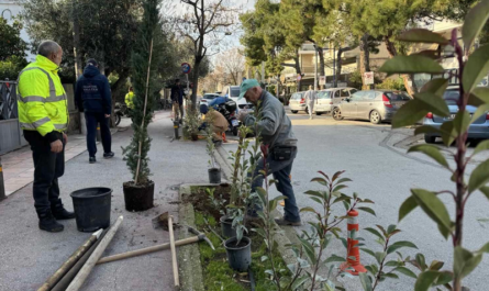 Βριλήσσια:  Πρασίνισε ο ποδηλατόδρομος στην Εθνικής Αντιστάσεως