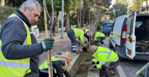 Βριλήσσια:  Πρασίνισε ο ποδηλατόδρομος στην Εθνικής Αντιστάσεως