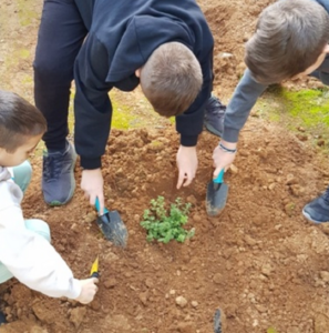 Κηφισιά: Η 1η Δράση Περιβαλλοντικής Εκπαίδευσης του 2025 στο 2ο και 3ο Δημοτικό Ν. Ερυθραίας