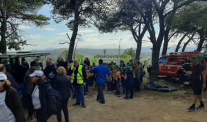 Κηφισιά: Με επιτυχία η 1η Αναδάσωση του έτους στην Πεντέλη από ΣΠΑΠ-«Όλοι Μαζί Μπορούμε και στο περιβάλλον»