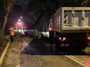 Πεντέλη : Ένα μεγάλο πεύκο έπεσε στο δρόμο στην οδό Καλλισίων