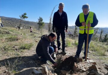 ΣΠΑΠ: Με μεγάλη επιτυχία πραγματοποιήθηκε 2η «Δράση Εθελοντικής Δενδροφύτευσης»  για τη νέα φυτευτική περίοδο