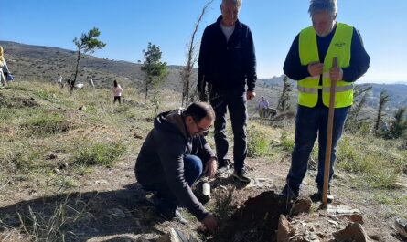 ΣΠΑΠ: Με μεγάλη επιτυχία πραγματοποιήθηκε 2η «Δράση Εθελοντικής Δενδροφύτευσης»  για τη νέα φυτευτική περίοδο