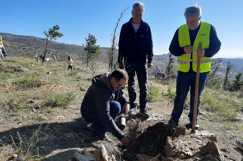 ΣΠΑΠ: Με μεγάλη επιτυχία πραγματοποιήθηκε 2η «Δράση Εθελοντικής Δενδροφύτευσης»  για τη νέα φυτευτική περίοδο