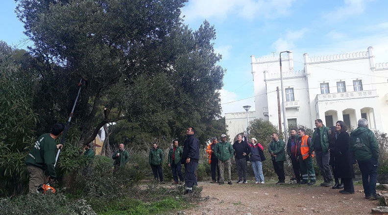 Κηφισιά: Με επιτυχία το Α’ Σεμινάριο Κλαδέματος του Δήμου στο Ι.Γ.Ε