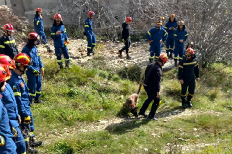 Πεντέλη: Διευκρινίσεις της Δημάρχου για την παραχώρηση δημοτικού χώρου στην Anubis K9 TEAM