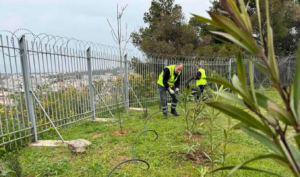 Βριλήσσια: «Θέατρο Αλίκη Βουγιουκλάκη» Μια ακόμα δράση με στόχο την ενίσχυση του Πρασίνου στην πόλη