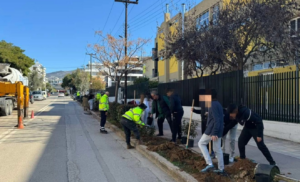 Βριλήσσια: Δράση ενίσχυσης του αστικού πρασίνου