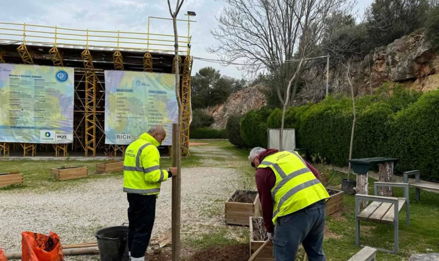 Βριλήσσια: «Θέατρο Αλίκη Βουγιουκλάκη» Μια ακόμα δράση με στόχο την ενίσχυση του Πρασίνου στην πόλη