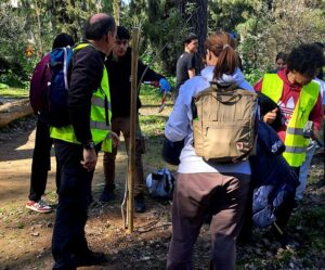 Χαλάνδρι: «Δενδροφύτευση στη Ρεματιά Χαλανδρίου» Πλημμύρισε το πλάτωμα του προφήτη Ηλία στη Ρεματιά από μαθητές