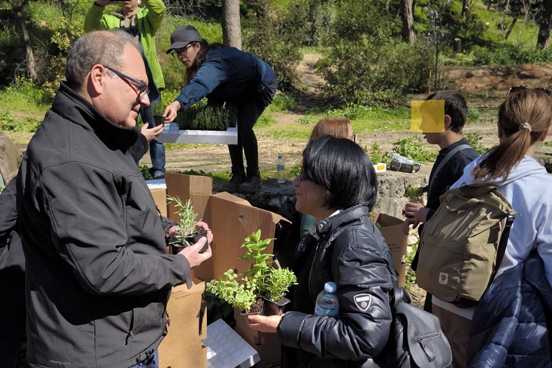 Χαλάνδρι: «Δενδροφύτευση στη Ρεματιά Χαλανδρίου» Πλημμύρισε το πλάτωμα του προφήτη Ηλία στη Ρεματιά από μαθητές