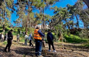 Χαλάνδρι: «Δενδροφύτευση στη Ρεματιά Χαλανδρίου» Πλημμύρισε το πλάτωμα του προφήτη Ηλία στη Ρεματιά από μαθητές